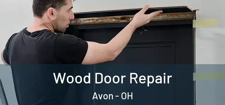 Wood Door Repair Avon - OH